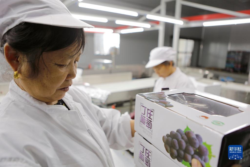 下载送礼金